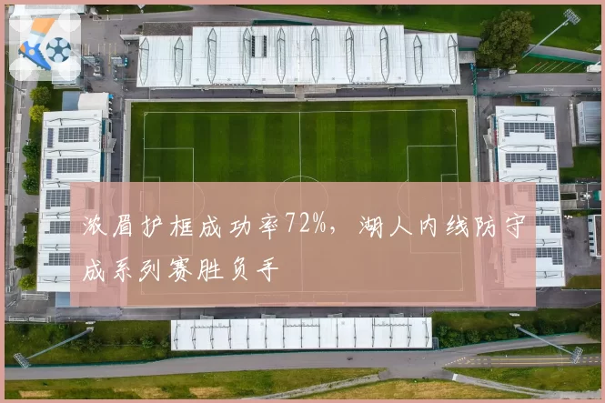 浓眉护框成功率72%，湖人内线防守成系列赛胜负手