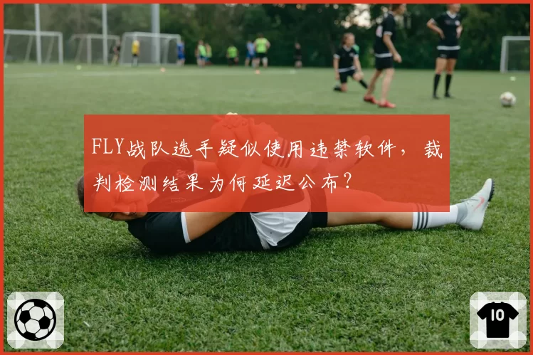 FLY战队选手疑似使用违禁软件，裁判检测结果为何延迟公布？